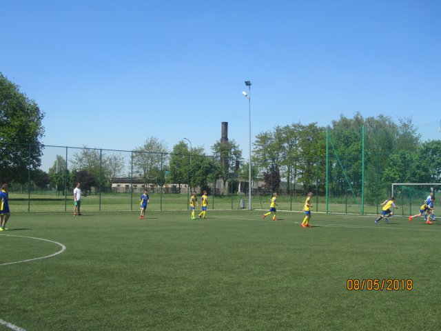 pino 16